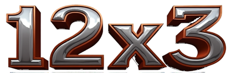 12x3 logo